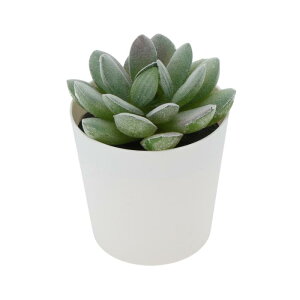 CAPASTEC tFCNO[ CeAO[ A lH bsv  ~j A fR[V   fXN oX[ Lb` Type 1