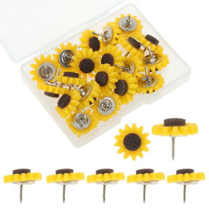 GLIDESMOOTH e т傤 s vbVs [P[Xt ItBX ʐ^DIYn} Œp fHp Ђ܂