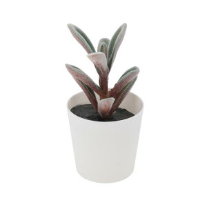 CAPASTEC tFCNO[ CeAO[ A lH bsv  ~j A fR[V 킢  fXN oX[ Lb` Type 7