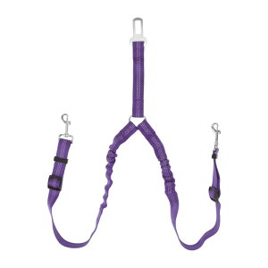 CAPASTEC _uhbOV[gxgAiC̃fAybgJ[wbhXgXgCgZ[teB[V[gxgAȂhbO[hf[eB[GXeBbNoW[