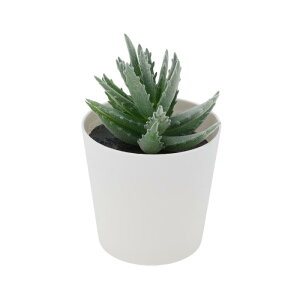 CAPASTEC tFCNO[ CeAO[ A lH bsv  ~j A  킢  fXN oX[ Lb` Type 10