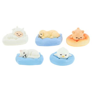 RENEWREVITAL ~ju ~j`A I[ig 5 Zbg  tBMA  DIY  ItBX ԓ  蕨 i ~  XX