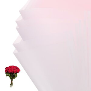 PATIKIL ԃMtg 20hu[Pt[XgpipbP[WOt[y[p[EFfBODIYNtgo^C̓ CgsN