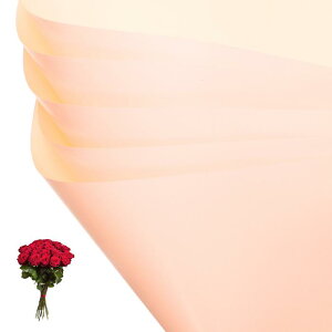 PATIKIL ԃMtg 20 ʖhu[Pt[XgpbP[WOt[y[p[ EFfBODIYNtgo^C̓ IW