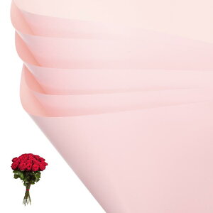 PATIKIL ԃMtg 20 ʖhu[Ppt[XgpbP[WOt[y[p[ EFfBODIYNtgo^C̓ fB[vsN