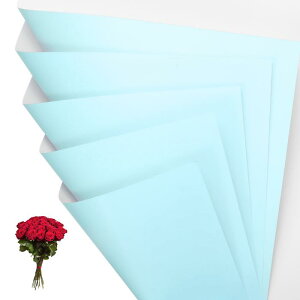 PATIKIL ԃMtg 20 ʖhu[Pt[XgpbP[WOt[y[p[ EFfBODIYNtgo^C̓p u[