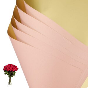 PATIKIL �ԃM�t�g��� 20�� ���ʋ��F�h���u�[�P�p����t���[���X�g�p�i�p�b�P�[�W���O�t���[�����y�[�p�[������DIY�N���t�g�o�����^�C���p �s���N/���F