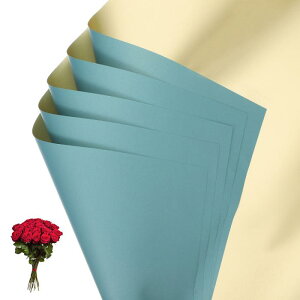 PATIKIL �ԃM�t�g��� 20�� ���ʋ��F�h���u�[�P�p����t���[���X�g�p�i�p�b�P�[�W���O�t���[�����y�[�p�[������DIY�N���t�g�o�����^�C�� �O���[�u���[/���F