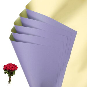 PATIKIL �ԃM�t�g��� 20�� ���ʋ��F�h���u�[�P�p����t���[���X�g�p�i�p�b�P�[�W���O�t���[�����y�[�p�[������DIY�N���t�g�o�����^�C�� �p�[�v���s���N/���F