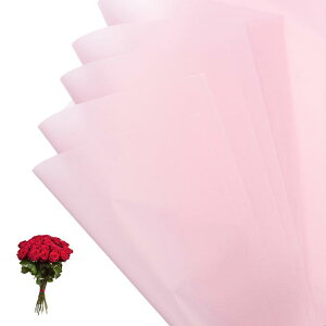 PATIKIL ԃMtg 20hu[Pp\bhJ[bvt[Xgy[p[ EFfBODIYNtgƎo^C̓ Cgp[v