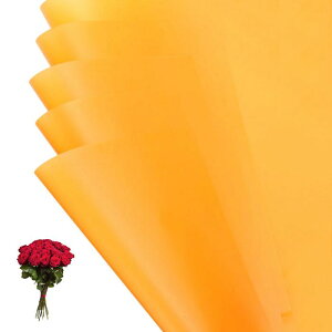 PATIKIL ԃMtg 20hu[Pp\bhJ[bvt[Xgy[p[ EFfBODIYNtgƎo^Cf[̓ IW