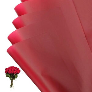 PATIKIL ԃMtg 20hu[Pp\bhJ[bvt[Xgy[p[ EFfBODIYNtgƎo^C̓ 