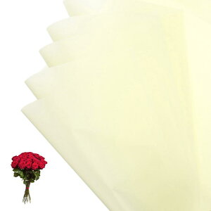 PATIKIL ԃMtg 20hu[Pp\bhJ[bvt[Xgy[p[ EFfBODIYNtgƎo^C̓ x[W