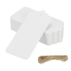 PATIKIL 100  Mtg^OƃXgO 3.8x1.8C` Ntg ^O MtgobO ^O ` gx  zf[p[eB[ D ߗރNtgp t