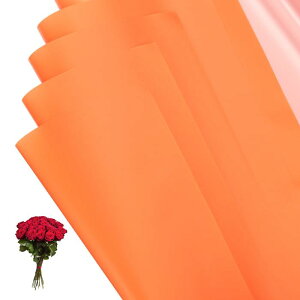 PATIKIL 22.8 x 22.8C` ԕp 20 ACfBZgʃt[Xgu[PpbP[WOht[XgpiDIYNtgMtgpbP[WMtg{bNXEFfBO IW