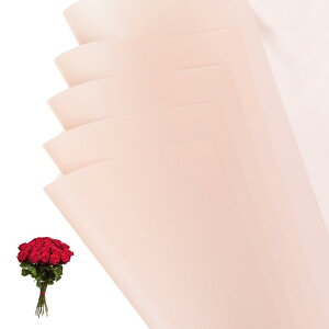 PATIKIL 22.8 x 22.8C` ԕp 20 ACfBZgʃt[Xgu[PpbP[Wht[XgpiDIYNtgMtgpbP[WMtg{bNXEFfBO sN