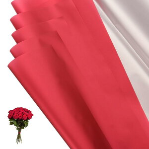 PATIKIL 22.8 x 22.8C` ԕp 20 ACfBZgʃt[Xgu[PpbP[Wht[XgpiDIYNtgMtgMtg{bNXEFfBO Cgbh