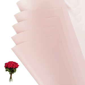 PATIKIL 22.8 x 22.8C` ԕp 10  闼ʃt[Xgu[PpbP[W ht[XgpiDIYNtgMtgpbP[WMtg{bNXEFfBO _[NsN