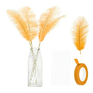 PATIKIL 24 VR_`E H 10-12C` / 25-30 CM 傫ȃ_`E HLbg Ntg ԕr z[fR[V EFfBO p[eB[ Z^[s[X t[AWgpiFg