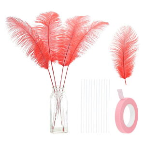 PATIKIL 12 VR_`E H 12-14C` / 30-35 CM 傫ȃ_`E HLbg Ntg ԕr z[fR[V EFfBO p[eB[ Z^[s[X t[AWgpi[^