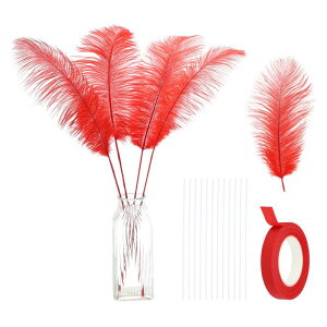 PATIKIL 24 VR_`E H 12-14C` / 30-35 CM 傫ȃ_`E HLbg Ntg ԕr z[fR[V EFfBO p[eB[ Z^[s[X t[AWgpiԁj