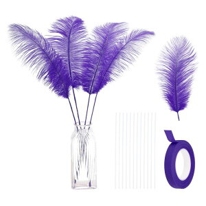 PATIKIL 24 VR_`E H 12-14C` / 30-35 CM 傫ȃ_`E HLbg Ntg ԕr z[fR[V EFfBO p[eB[ Z^[s[X t[AWgpip[v