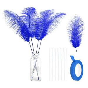 PATIKIL 24�� �V�R�_�`���E �H 14-16�C���` / 35-40�Z���`���[�g�� �傫�ȃ_�`���E �H�L�b�g �N���t�g �ԕr �z�[���f�R���[�V���� �E�F�f�B���O �p�[�e�B�[ �Z���^�[�s�[�X �t�����[�A�����W����