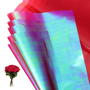 PATIKIL 22.8 x 22.8C` ԕp 10  闼ʃvX`bNԑpi ht[XgpiDIYNtgMtgMtg{bNXEFfBO _[Nbh