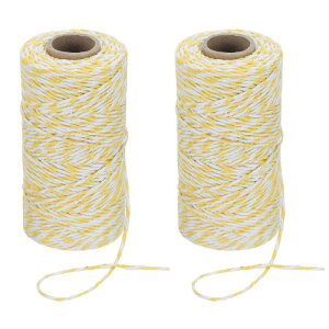 PATIKIL 2mm x 109[hȂ̃ub`[cC[A2Ȃ̃x[J[YcC[XgO[vR[hAMtgbsOA[gNtgp[eB[K[fjOACG[zCg