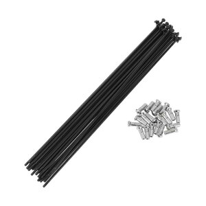 INFINAUTO 20Zbg13G]ԃX|[N199mm]ԃzC[X|[N304XeXX`[ubN