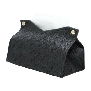 CAPASTEC eBbV{bNX Jo[ eBbVP[X  \tgpbNp  k ؍ CeA oX[ErOΉ Vv[ ȃXy[X G PUU[ ubN 