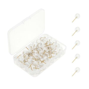 CAPASTEC e т傤 s  p ItBX wK Œp fHp [P[Xt 100 S[hg[ {[