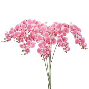 PATIKIL   CeA Ӓ ԑ 105cm 6{ A^b` tFCNt[  ԕr z[  LO fR[Vp sN