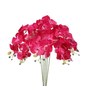 PATIKIL   CeA Ӓ ԑ 80cm 6{ A^b` tFCNt[  ԕr z[  LO fR[Vp tNVA