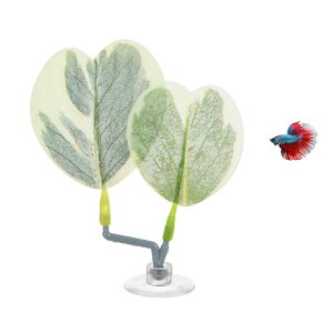 M METERXITY x^p[tpbh nbNAp[tpbh Aȋ xxbh /ANZT[p [Cg΂ƃzCg uhE t `] 1pbN