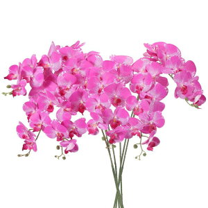 PATIKIL   CeA Ӓ ԑ 105cm 6{ A^b` tFCNt[  ԕr z[  LO fR[Vp t[V