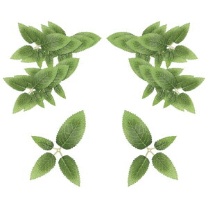 PATIKIL ̎l̋U̗t 50̐lHA΂̗tK[hDIYZ^[s[Xe[up[eB[EFfBOA[`u[PaNtgO