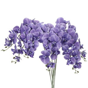 PATIKIL   CeA Ӓ ԑ 105cm 6{ A^b` tFCNt[  ԕr z[  LO fR[Vp oCIbg