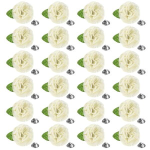 M METERXITY jp ys 24pbN 2.56" nhCht[u[`{^s YX[cp am//VY/^LV[h/RT[W/ANZT[ptH[}u[gjA [z