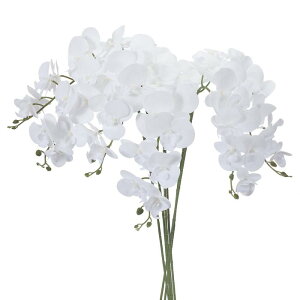 PATIKIL   CeA Ӓ ԑ 105cm 6{ A^b` tFCNt[  ԕr z[  LO fR[Vp s AzCg