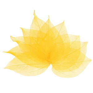 M METERXITY 100pbÑXPg[tAVRSc[̊tAW/ DIYNtgJ[h/XNbvubN/EFfBOpAȗt̑[8-9cmACG[]