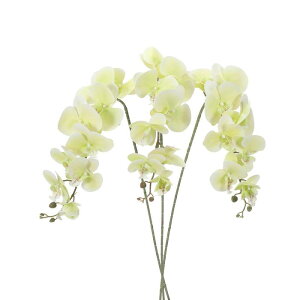 PATIKIL   CeA Ӓ ԑ 105cm 3{ A^b` tFCNt[  ԕr z[  LO p Cg