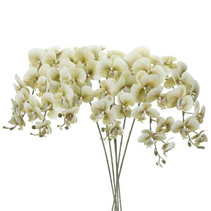 PATIKIL   CeA Ӓ ԑ 105cm 6{ A^b` tFCNt[  ԕr z[  LO fR[Vp O[