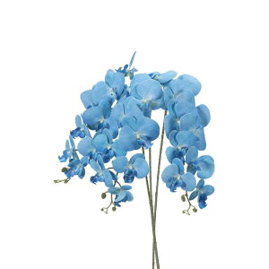 PATIKIL   CeA Ӓ ԑ 105cm 3{ A^b` tFCNt[  ԕr z[  LO fR[Vp XJCu[