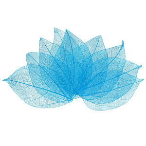 M METERXITY 100pbÑXPg[tAVRS̖؂̊tA/ DIYNtgJ[h/XNbvubN/EFfBOpAȗt̑[4-6cmAu[]