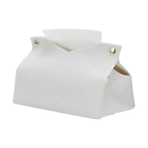 CAPASTEC eBbV{bNX Jo[ eBbVP[X  \tgpbNp  k ؍ CeA oX[ErOΉ Vv[ ȃXy[X G PUU[ zCg 