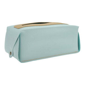 CAPASTEC eBbVP[X eBbVz_[  \tgpbNeBbV k ؍ ₷ Q  ItBX ԗp 20x12x9cm Cgu[