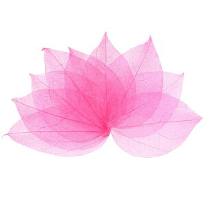 M METERXITY 100pbÑXPg[tAVRS̖؂̊tAW/DIYNtgJ[h/XNbvubN/EFfBOpAȗt̑[8-9cmACgsN]