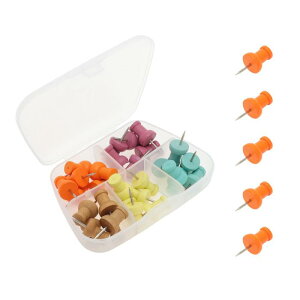 CAPASTEC ��e ��т傤 �����s�� ���F ���p �I�t�B�X �w�K �Œ�p �f����H��p ���[�P�[�X�t�� 30���� �����O�`�F�X