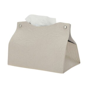 CAPASTEC eBbV{bNX Jo[ eBbVP[X  \tgpbNp  k ؍ CeA oX[ErOΉ Vv[ ȃXy[X G PUU[ x[W s